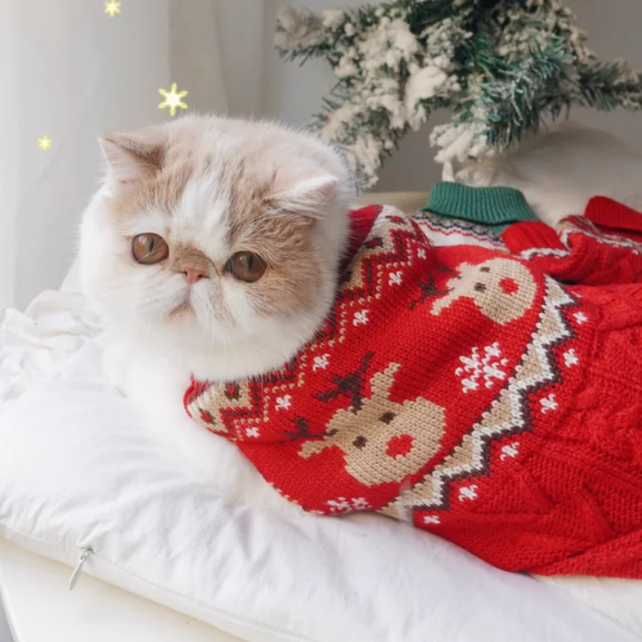 Suéter Pet Biscoitinho & Rena