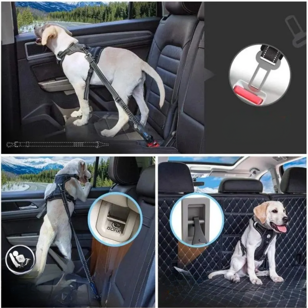 Cinto de Segurança SeguraPet 2 em 1 (Fivela Padrão + Gancho ISOFIX)