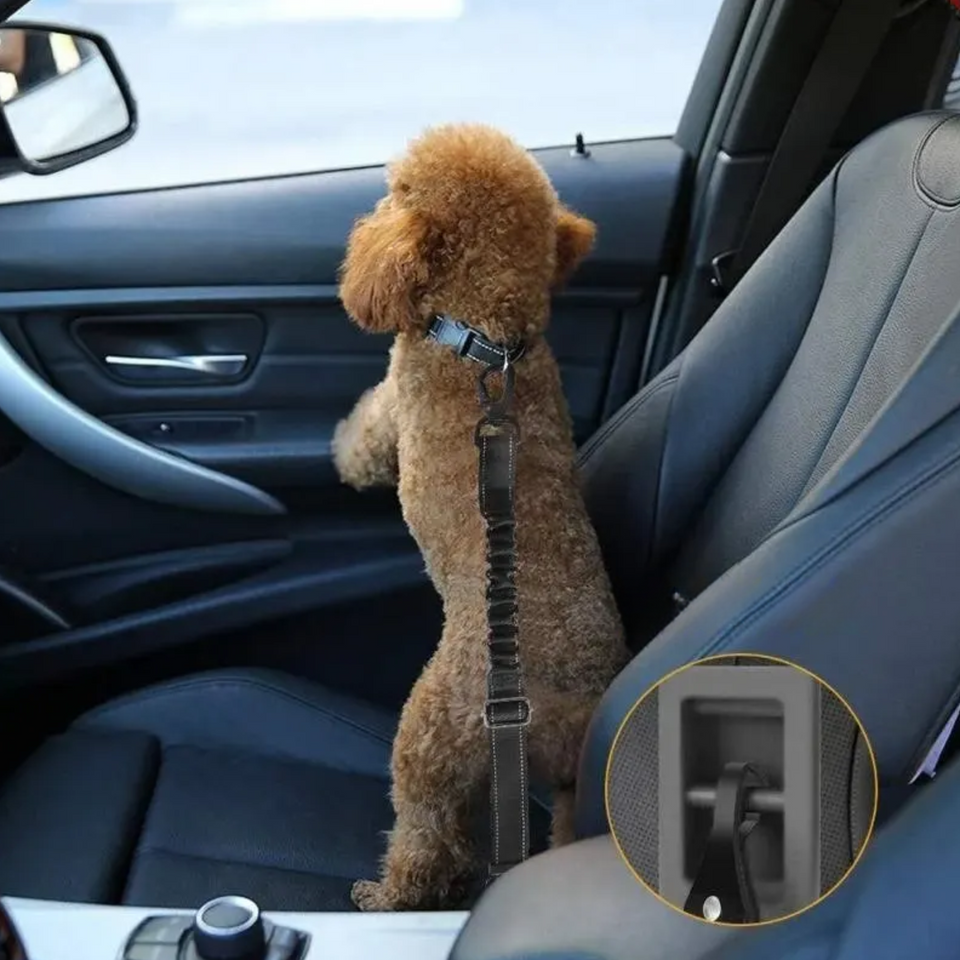 Cinto de Segurança SeguraPet 2 em 1 (Fivela Padrão + Gancho ISOFIX)