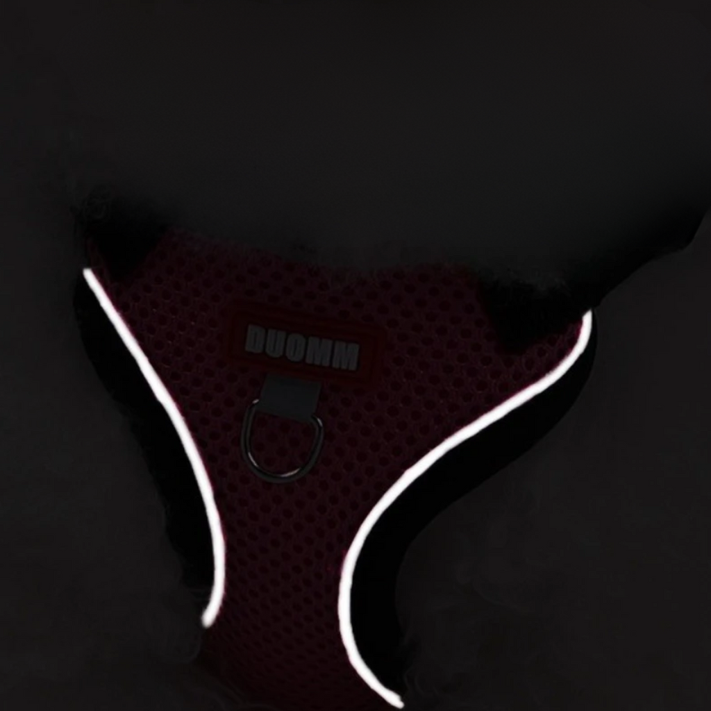 Coleira Pet & Guia Royale