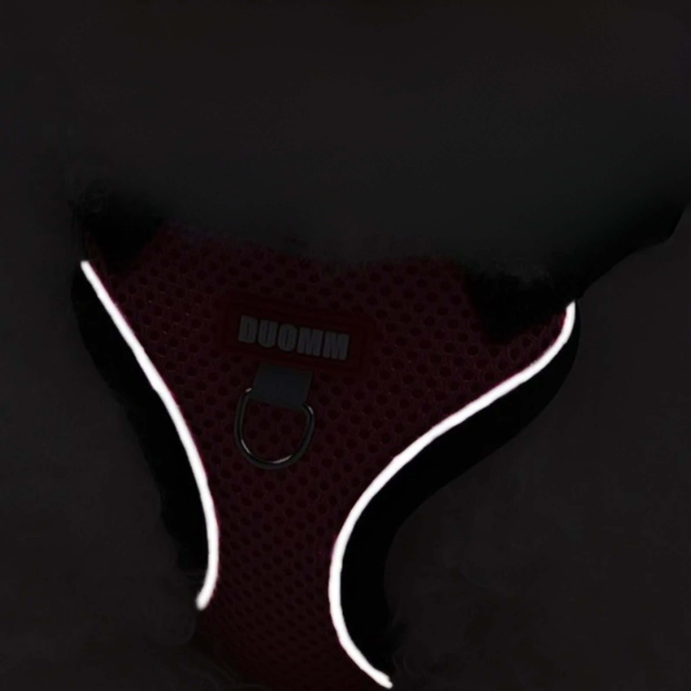 Coleira Pet & Guia Royale