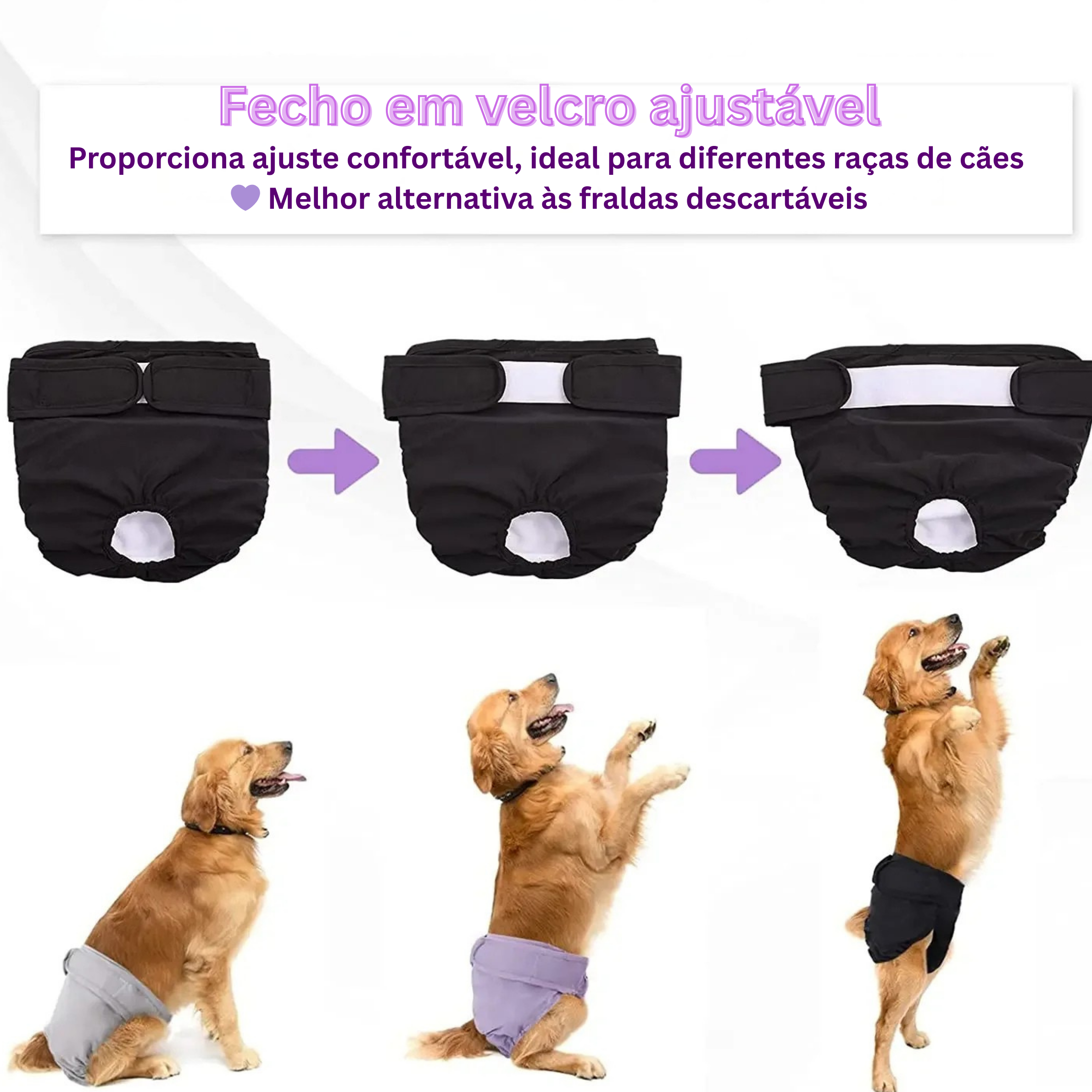 Fraldinha Pet Reutilizável Pantis