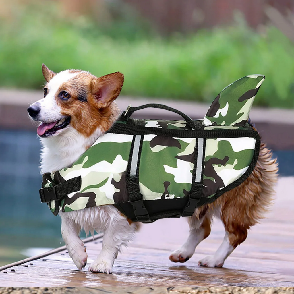 Colete Salva-vidas Pet Auquático