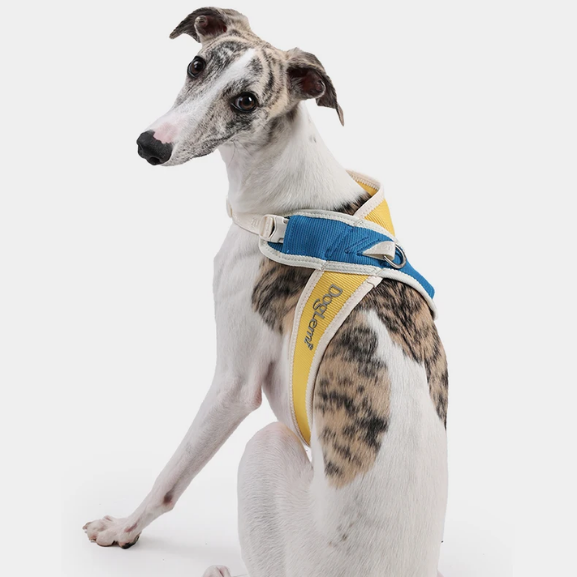 Coleira Pet Anti-puxão Acolchoada PetStyle