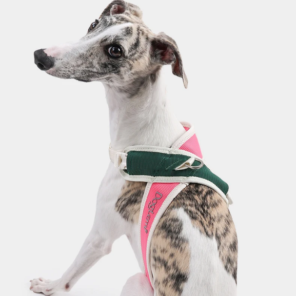 Coleira Pet Anti-puxão Acolchoada PetStyle