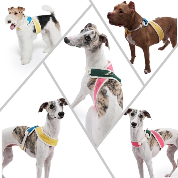 Coleira Pet Anti-puxão Acolchoada PetStyle