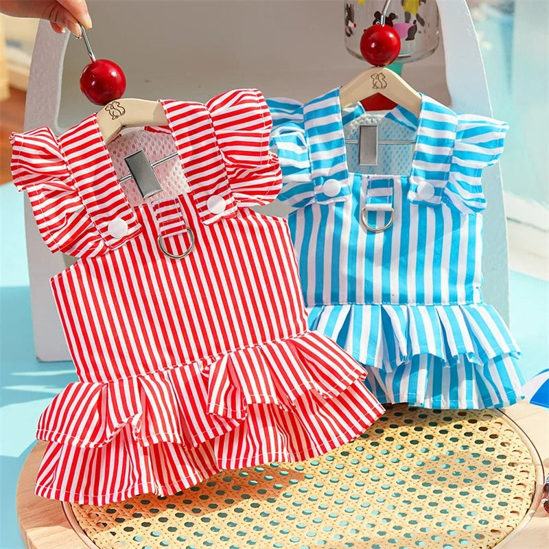 Vestidinho Arraiá Pet