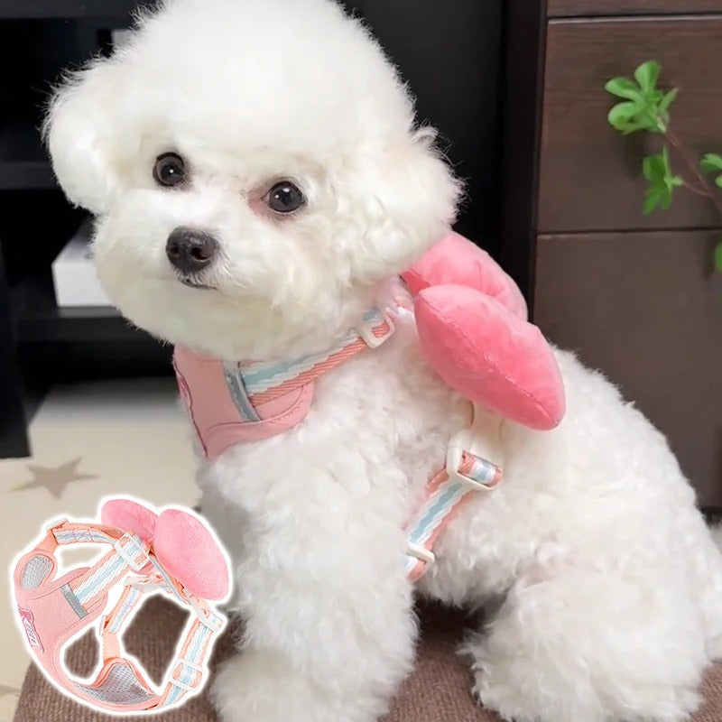 Coleira & Guia Pet Cutie