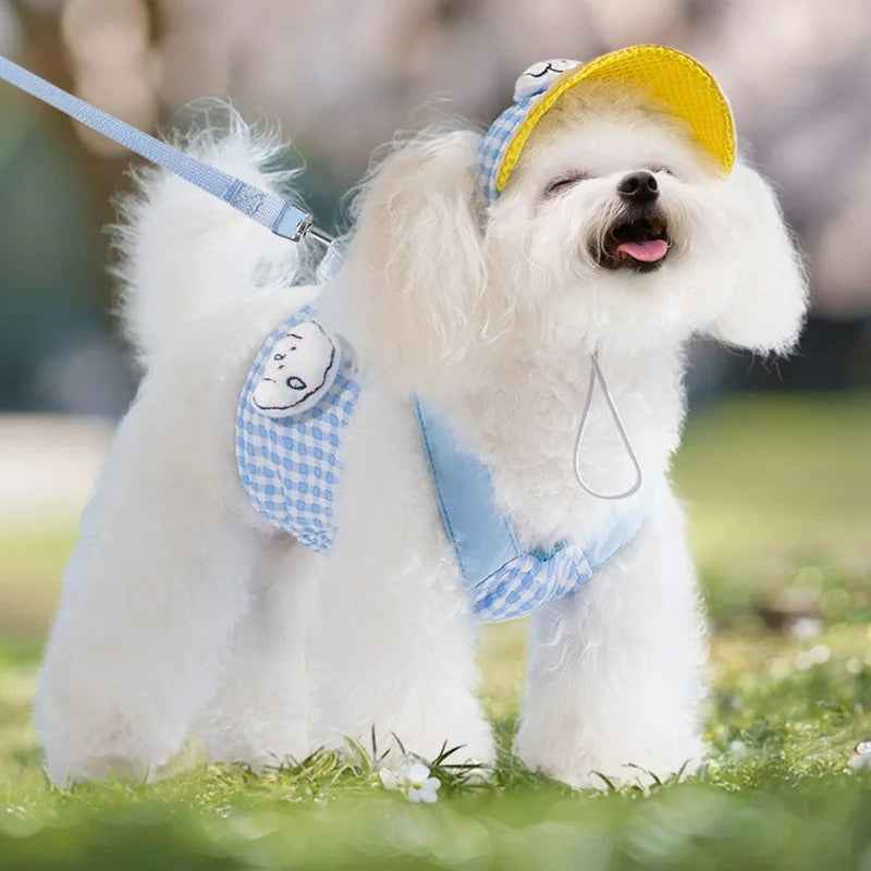 Kit Coleira Peitoral/Guia & Chapéu Hame