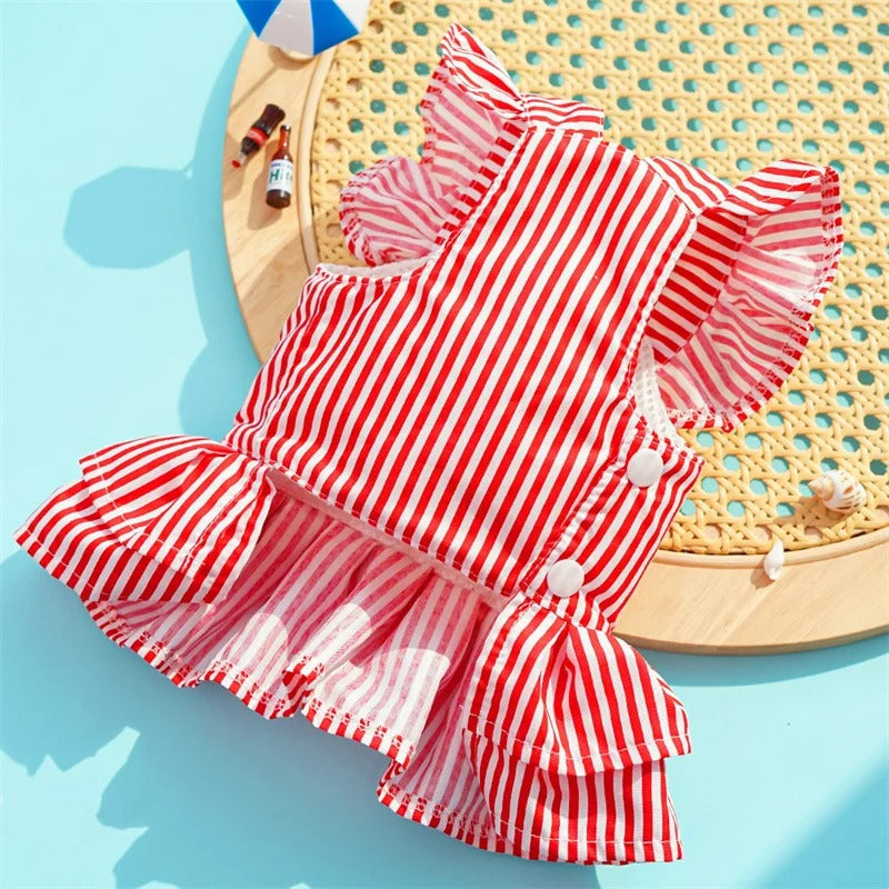 Vestidinho Arraiá Pet