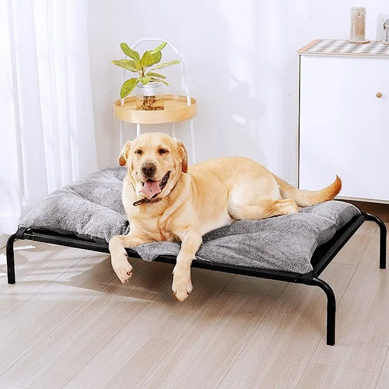 Cama Pet Elevada FreshUp