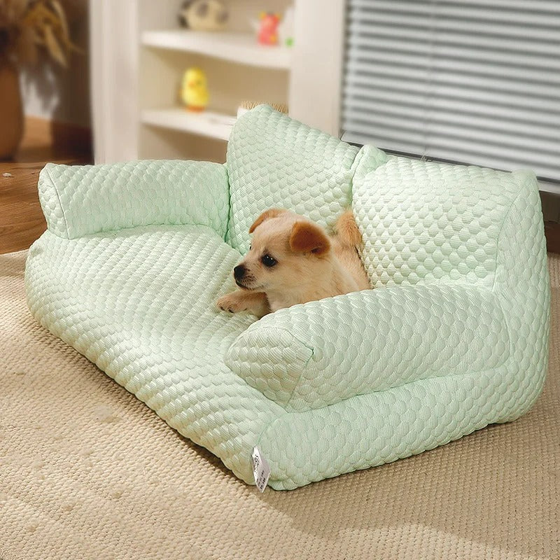 Cama Sofá Maison Pet