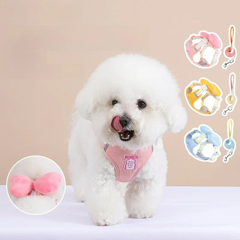 Coleira & Guia Pet Cutie