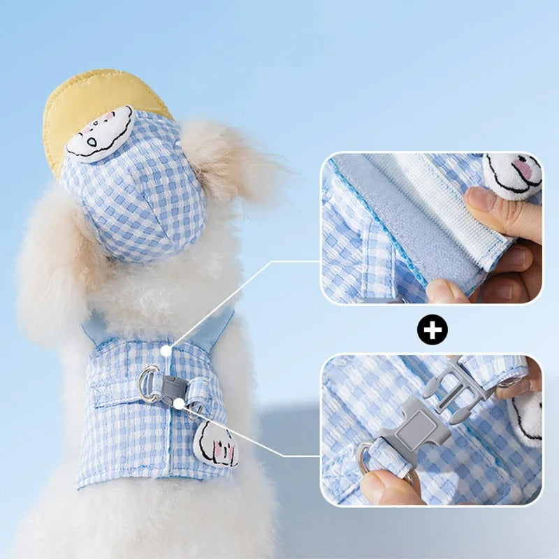 Kit Coleira Peitoral/Guia & Chapéu Hame