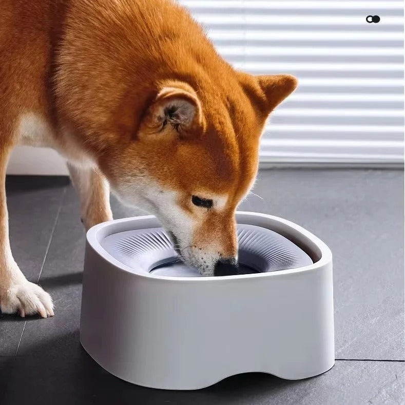 Tigela Pet Flutuante Anti-Respingo Splashs