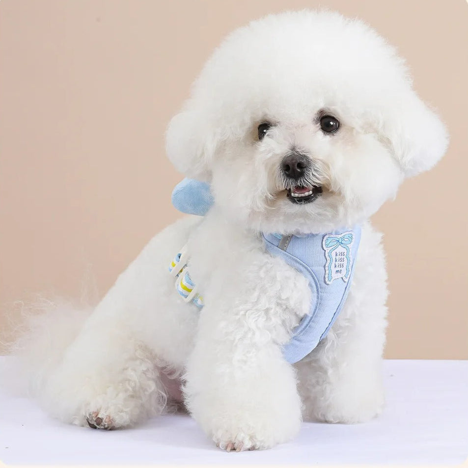 Coleira & Guia Pet Cutie