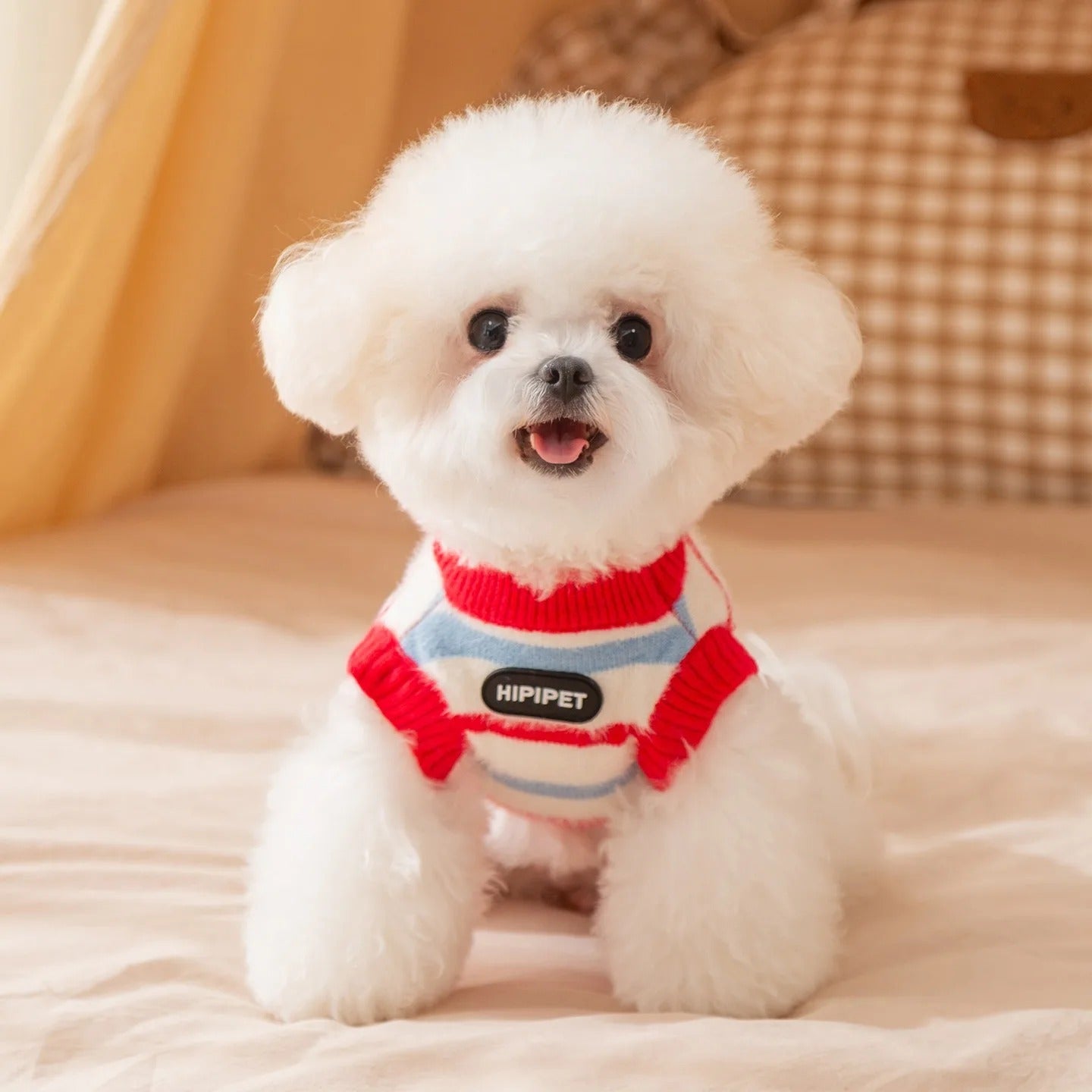 Tricot Pet Fofo Ursinhos