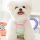 Blusa Pet Regatinha Bibi