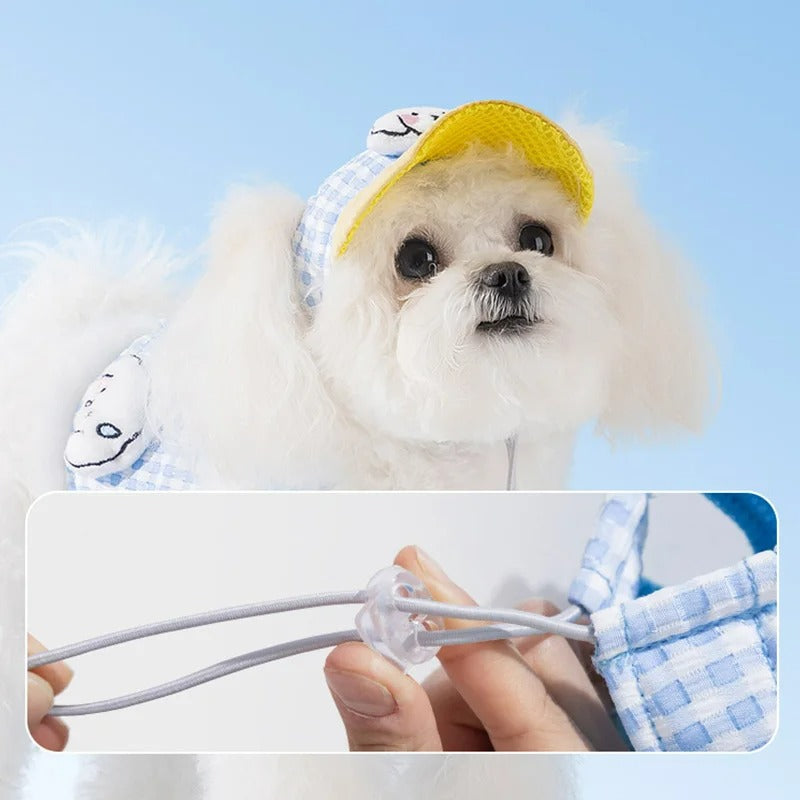 Kit Coleira Peitoral/Guia & Chapéu Hame