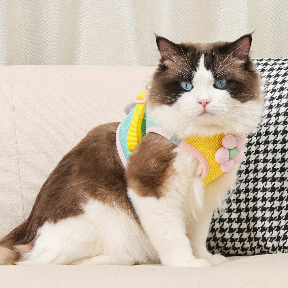 Coleira & Guia Pet Mimus