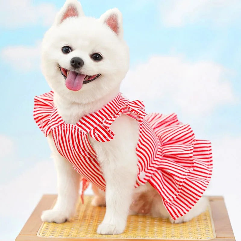 Vestidinho Arraiá Pet