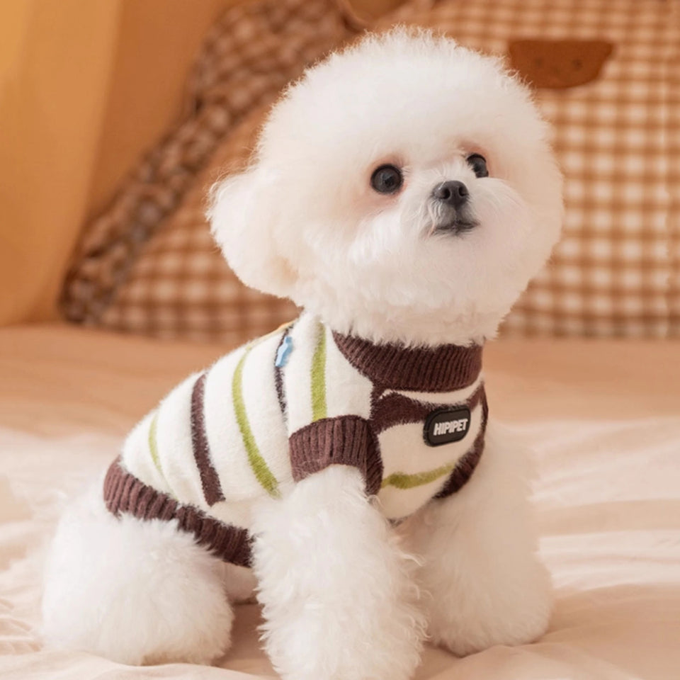 Tricot Pet Fofo Ursinhos