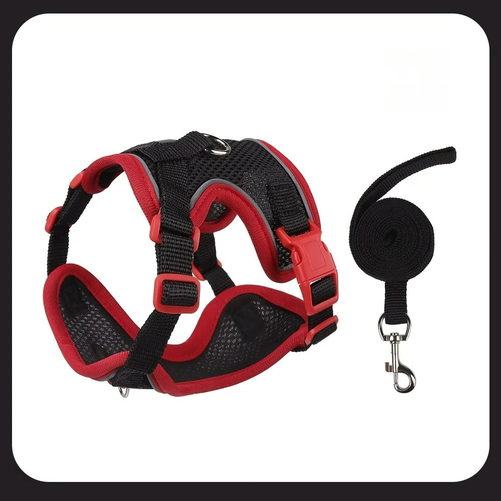 Coleira Pet & Guia Royale