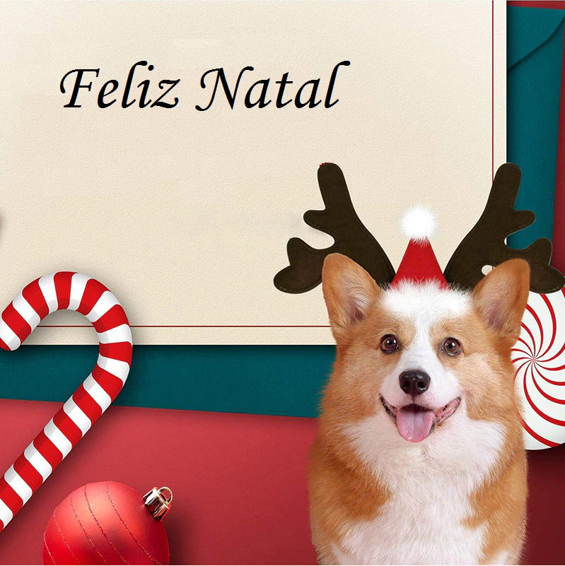 Acessório Rena Natalina