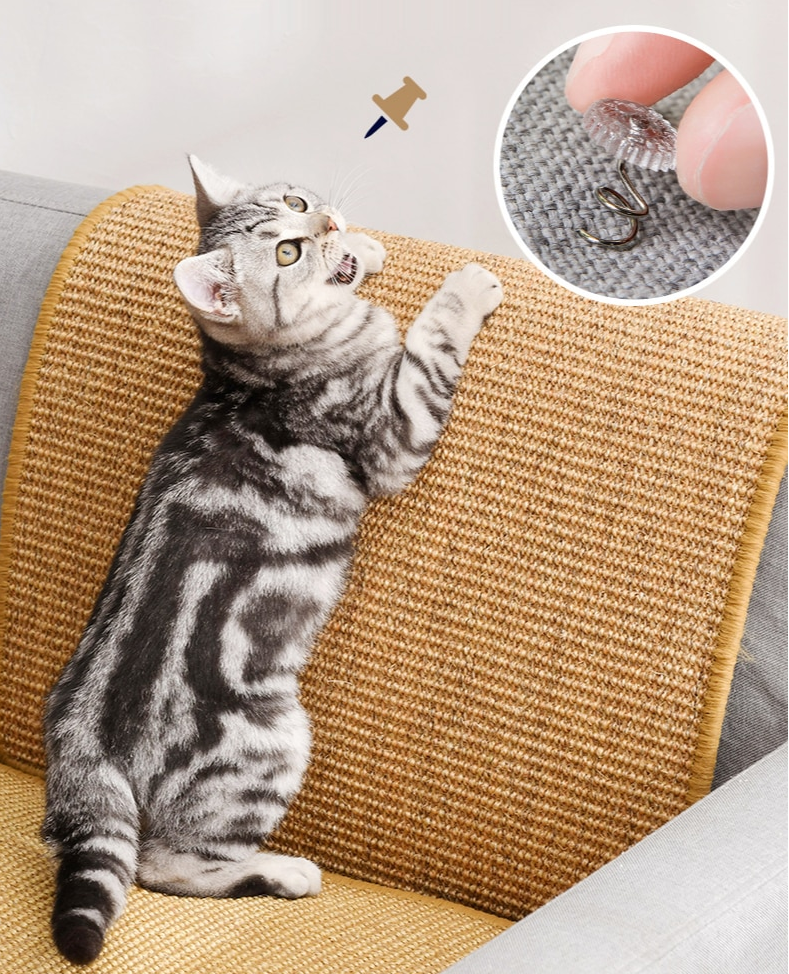 Tapete Arranhador Huy