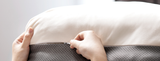 Cama Sofá Pet Luxo