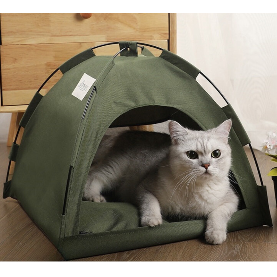 Tenda Pet Barraquinha