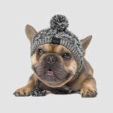 Gorro Pet Will