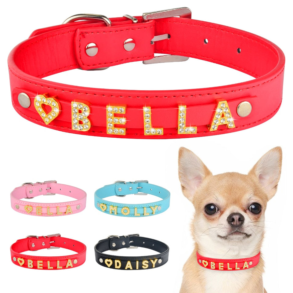 Coleira Personalizada Chudy