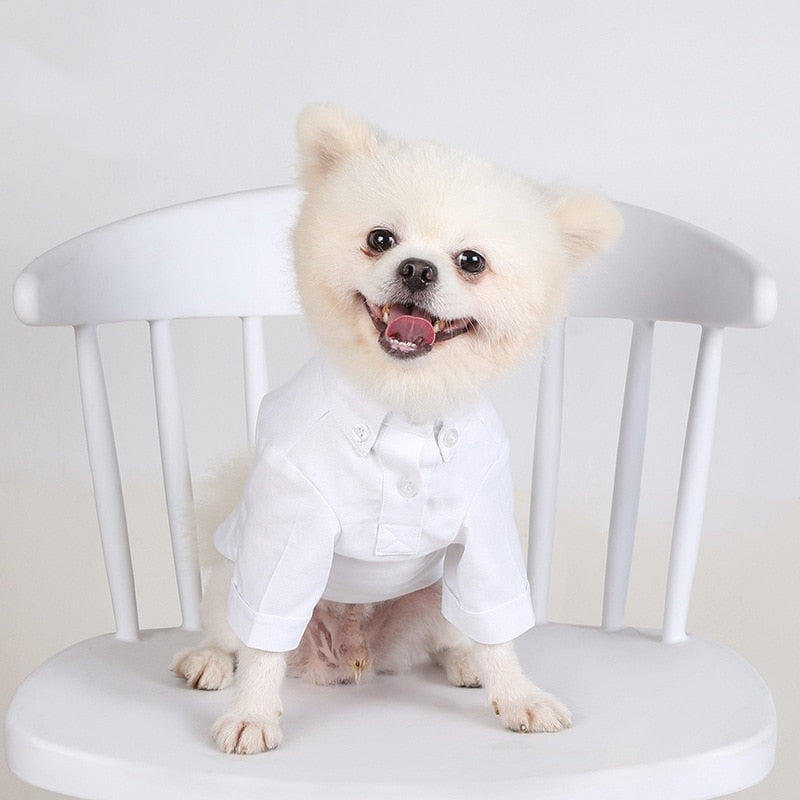 Camisa Pet Raion