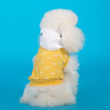 Moletonzinho Pet Tubarão