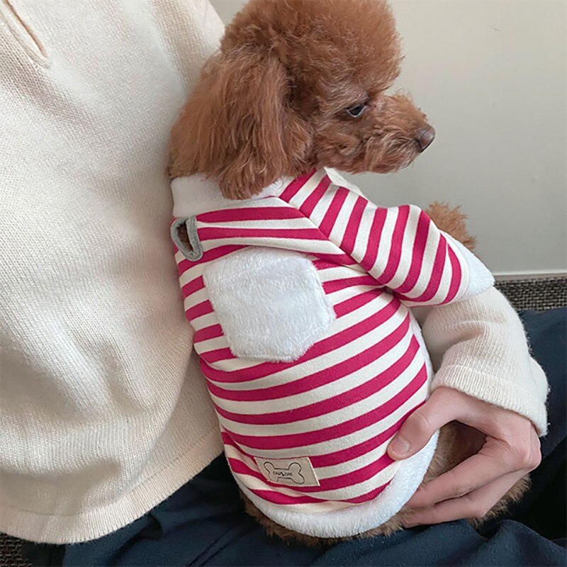 Moletom com Cachecol Papai Noel