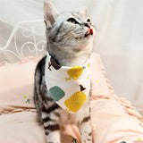 Bandana Pet Bib