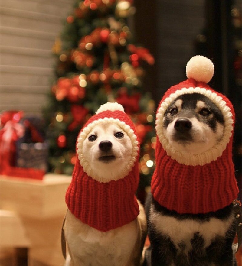 Gorro Pet Natalino