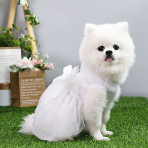 Vestido Pet Wedding