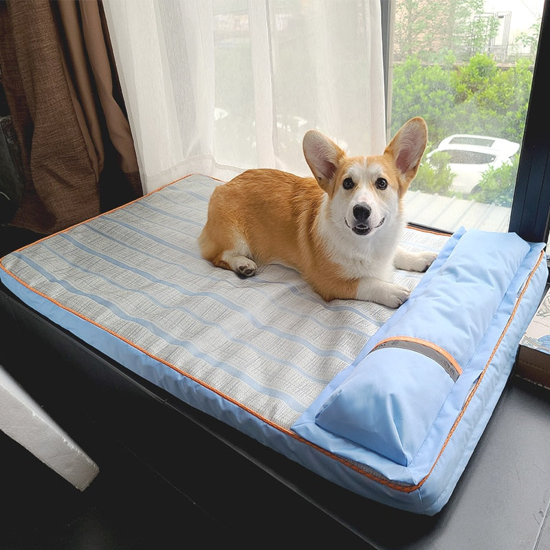 Cama Pet Pitter