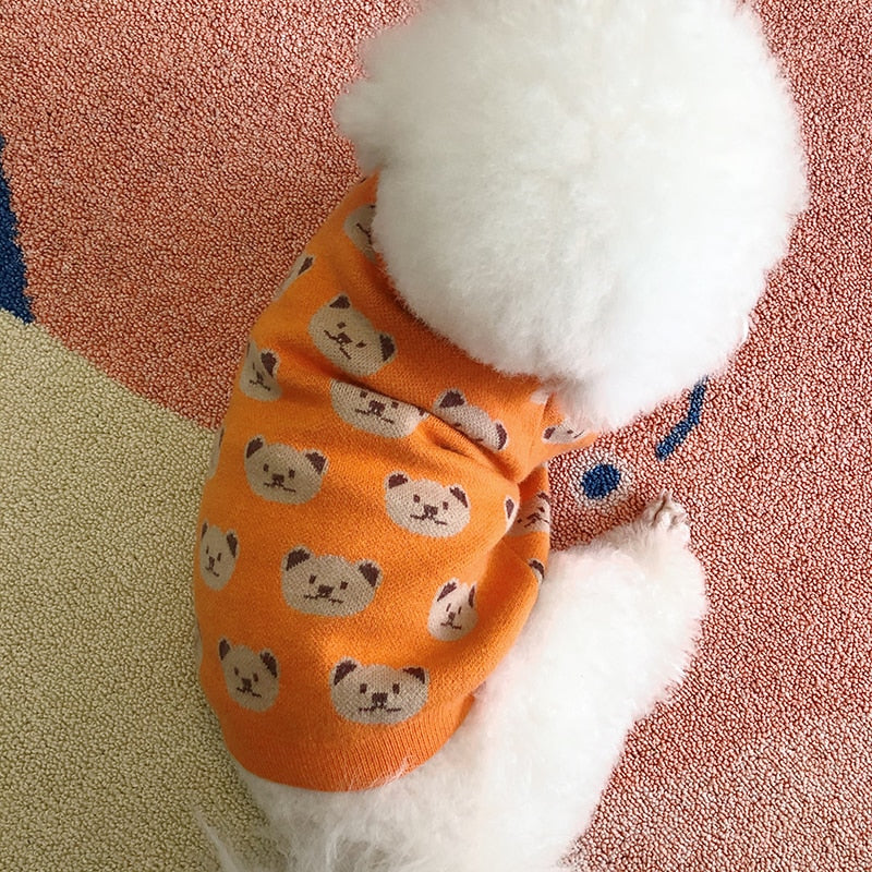 Suéter Teddy Orange