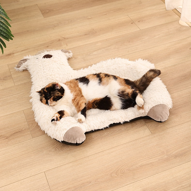 Caminhas Lhamas Love