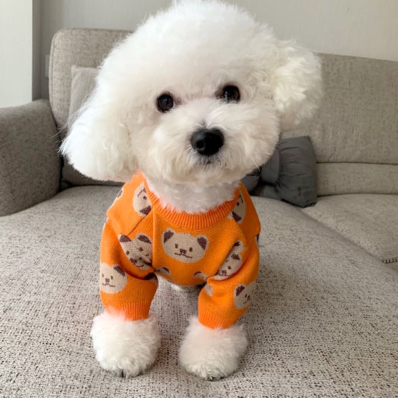 Suéter Teddy Orange