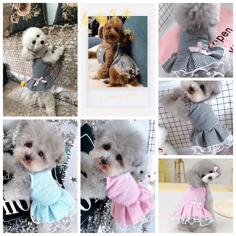 Vestido Pet Belle