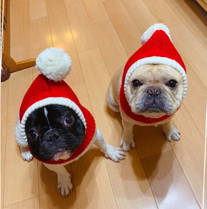Gorro Pet Natalino