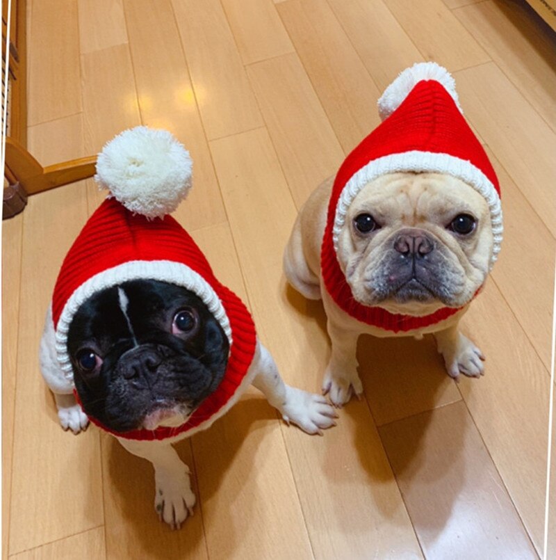 Gorro Pet Natalino