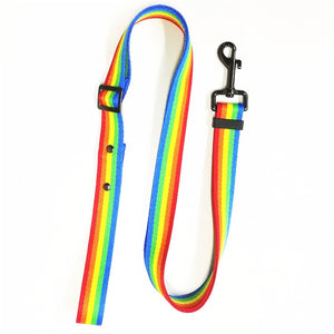 Coleira Pet Arco-Íris
