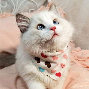 Bandana Pet Bib