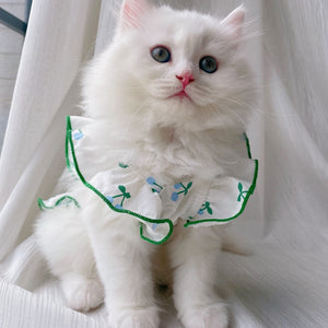Vestido Pet Kathi