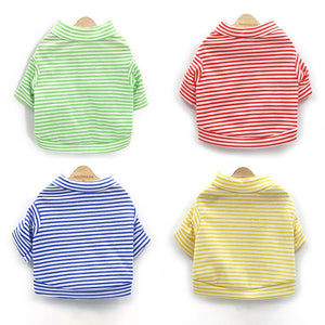 Blusa Pet Outi
